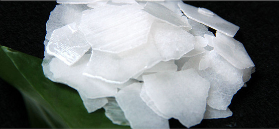 CAS 1310-73-2 Pharmaceutical Grade Sodium Hydroxide 99 % Caustic Soda Pearls